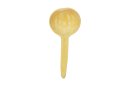 Kalebasse Schöpfkelle Löffel Ø10-15 cm