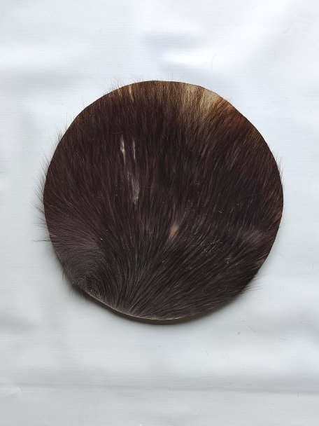 Kleines dickes Rinderfell, Büffelfell, Stierfell oder Kuhfell für Djembe Trommel Percussion