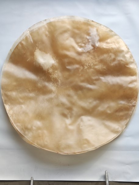 Sehr sehr großes dünnes Kalbsfell oder Kuhfell ohne Haar für Djembe Trommel Percussion