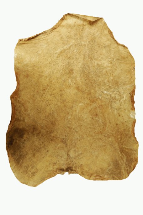 Sehr dickes rasiertes Sahel-Ziegenfell - Djembe Trommel Fell