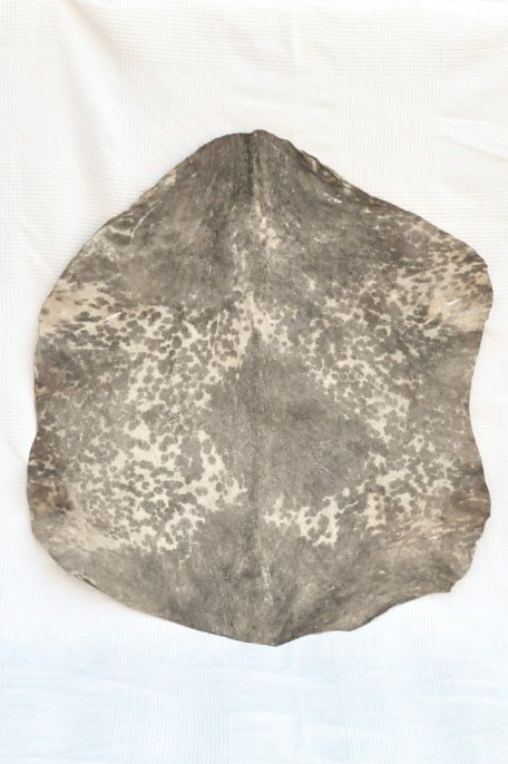 Geflecktes weißes Sahel-Ziegenfell - Djembe Trommel Fell