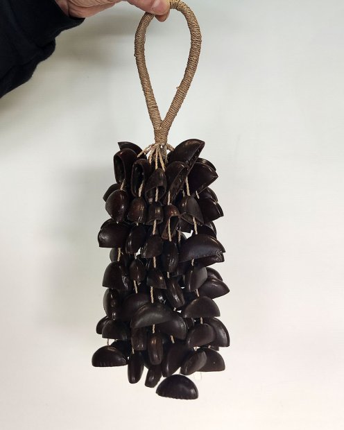 AfrikanischeRassel Entada ½ CRE18A