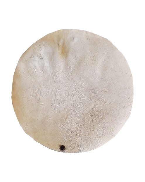 Sehr dünnes Pferdefell mit Haar für Djembe Trommel M