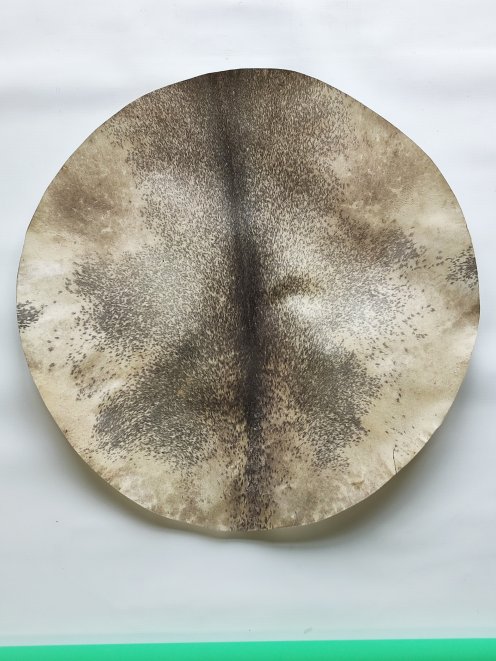 Sehr großes dickes rasiertes Djembe Trommel Percussion Rothirschfell