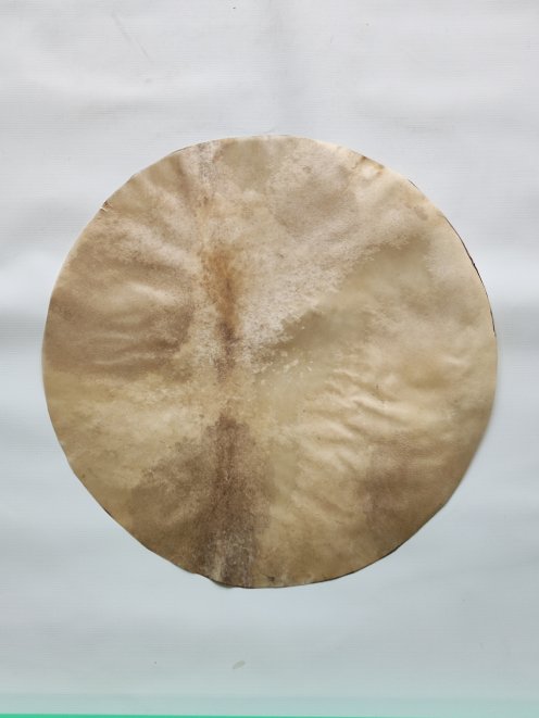 Rasiertes Rothirschfell für Djembe Trommel