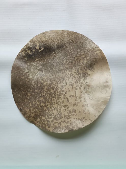 Kleines rasiertes Rothirschfell für Djembe Trommel