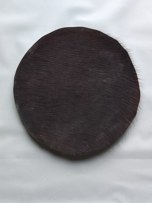 Büffelfell oder sehr sehr dickes Rinderfell mit Haaren für Djembe Trommel