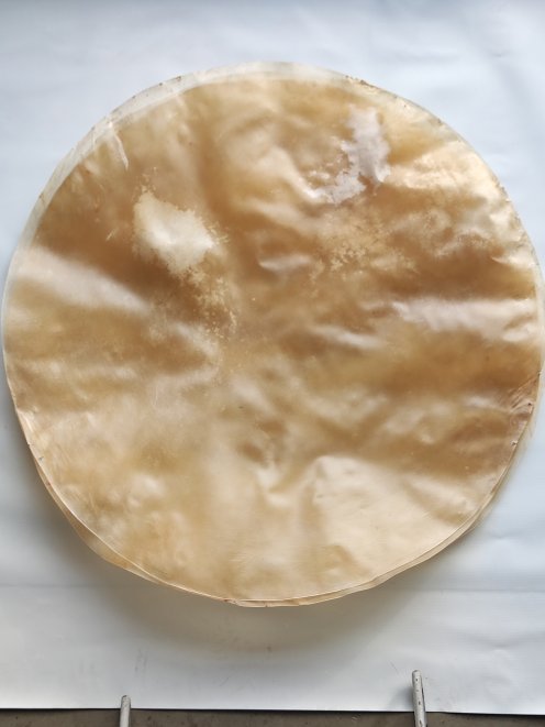Sehr sehr großes dünnes Kalbsfell oder Kuhfell ohne Haar für Djembe Trommel Percussion