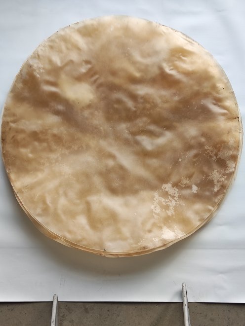 Sehr sehr großes Kuhfell ohne Haar für Djembe Trommel Percussion