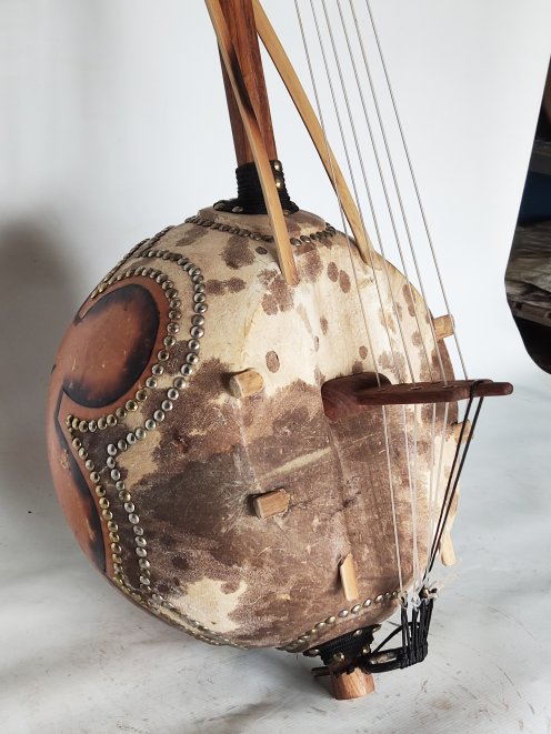 6 strings professional donso ngoni