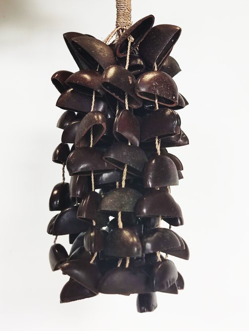 AfrikanischeRassel Entada ½ CRE18A