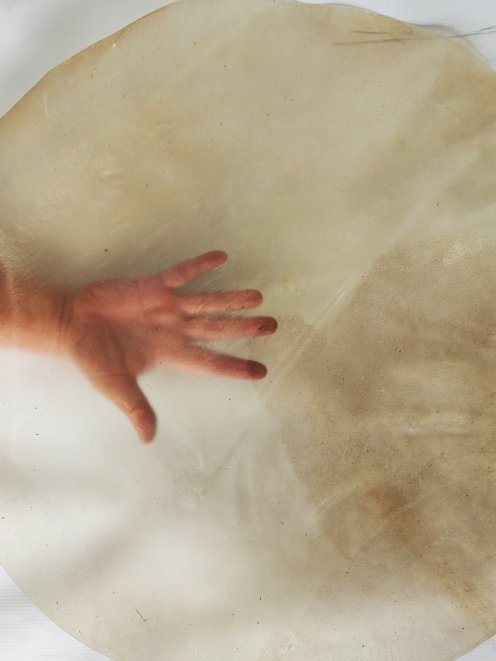 Sehr dünnes transparentes Kalbsfell für Rahmentrommeln L