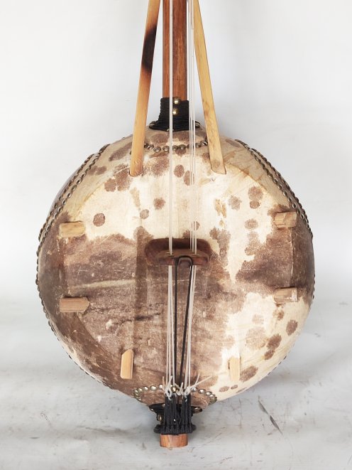 6 strings professional donso ngoni