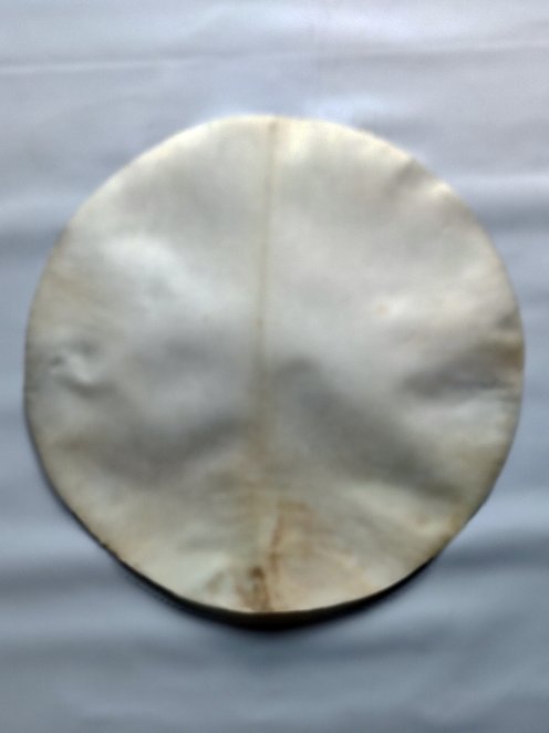 Sehr großes dickes rasiertes Djembe Trommel Percussion Elchfell