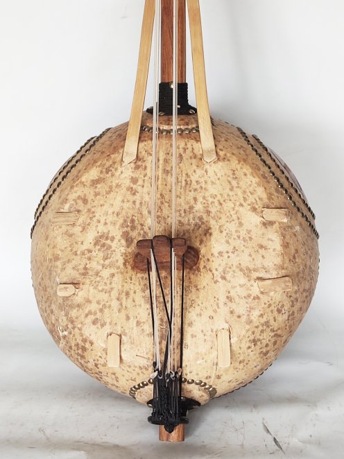6 strings professional donso ngoni