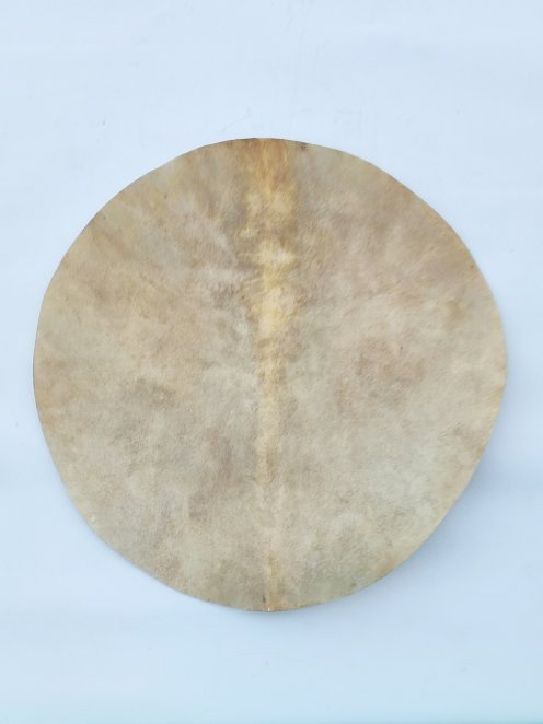 Großes dünnes rasiertes Djembe Trommel Percussion Elchfell