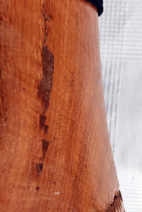 Lenke Djembe aus Guinea - Hohe Qualität Djembe