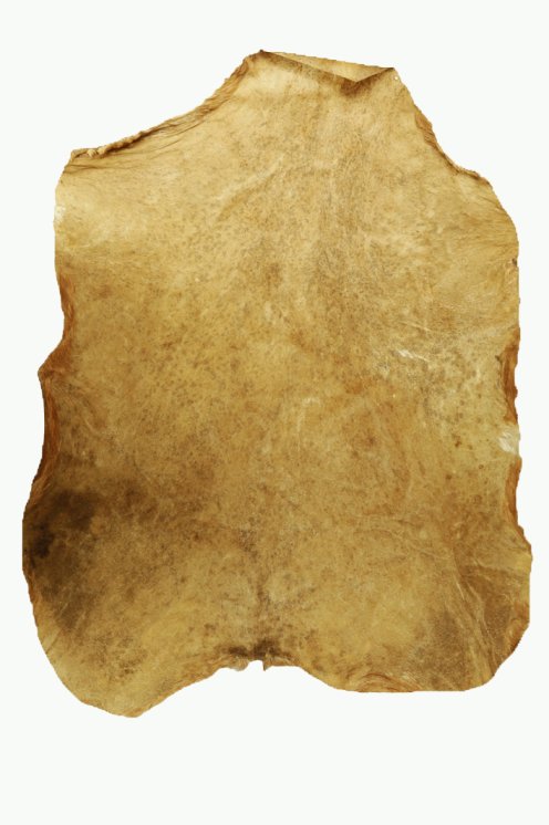 Sehr dickes rasiertes Sahel-Ziegenfell - Djembe Trommel Fell