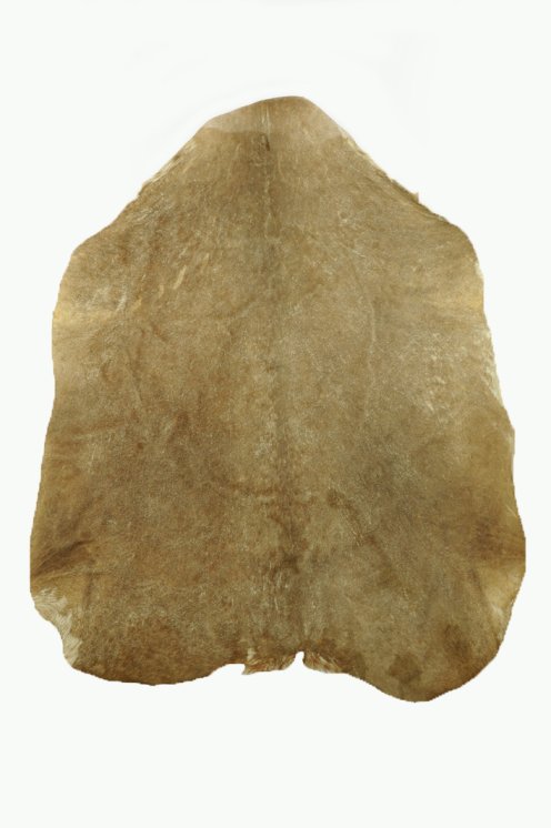 Rasiertes Sahel Ziegenfell - Djembe Trommel Fell