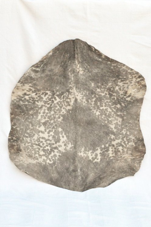 Geflecktes weißes Sahel-Ziegenfell - Djembe Trommel Fell