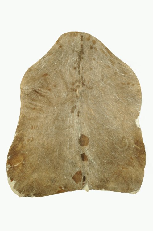 Dickes rasiertes Sahel-Ziegenfell - Djembe Trommel Fell