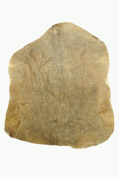 Rasiertes Sahel Ziegenfell - Djembe Trommel Fell