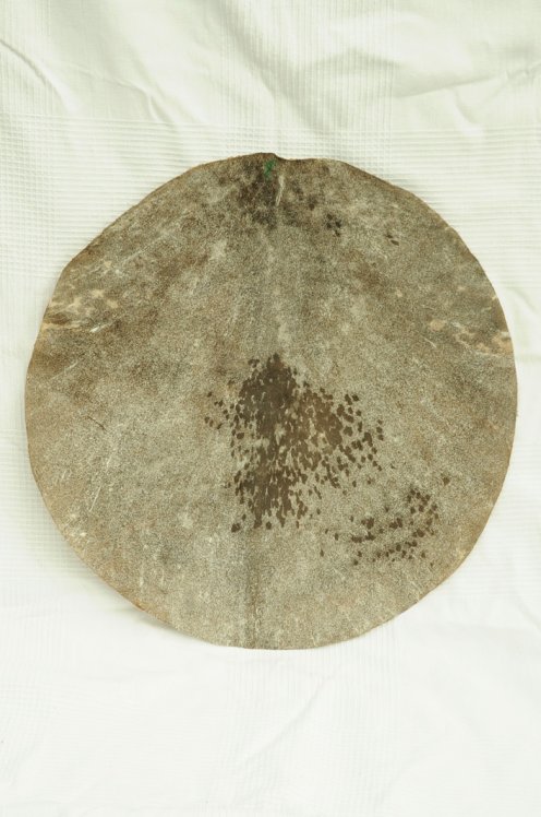 Mitteldickes rasiertes Ziegenfell Zuschnitt für Djembe Trommel - Djembe Fell