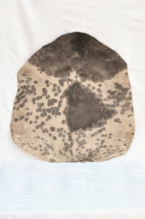 Dickes geflecktes weißes Sahel-Ziegenfell - Djembe Trommel Fell