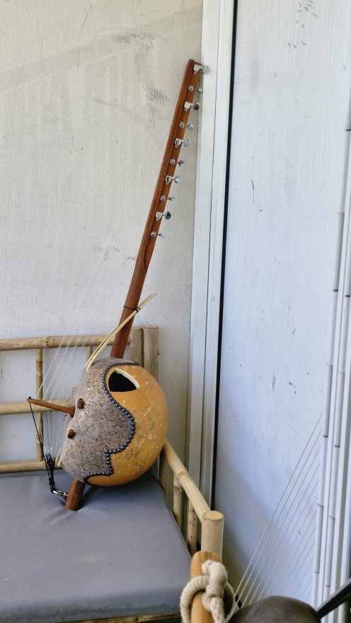 10 strings Premium ngoni - High end kamalengoni