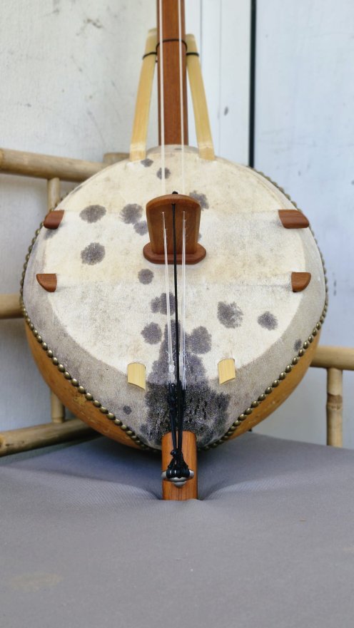 10 strings Premium ngoni - High end kamalengoni