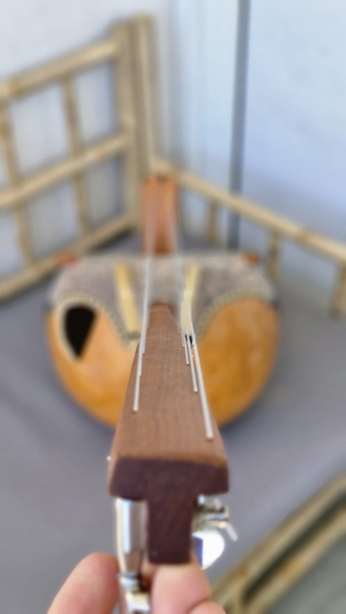 10 strings Premium ngoni - High end kamalengoni