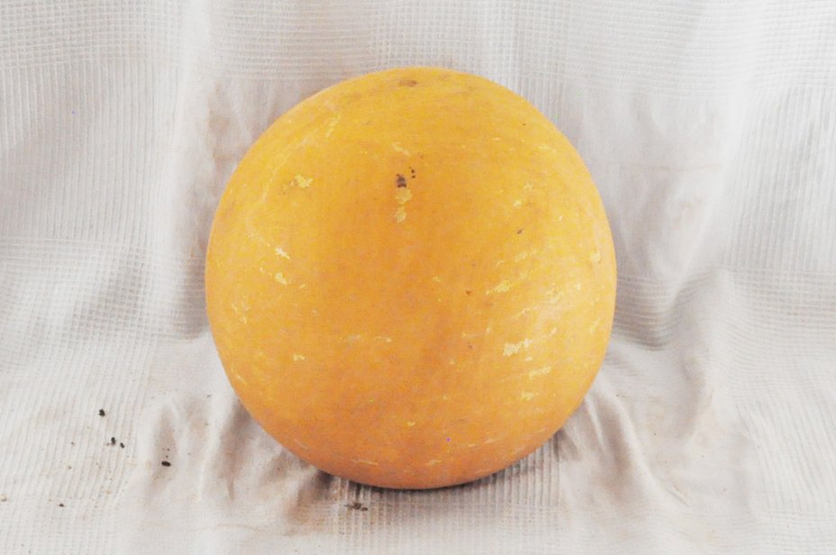 Ø25-26 cm runde Kalebasse - Kugelförmiger Kürbis