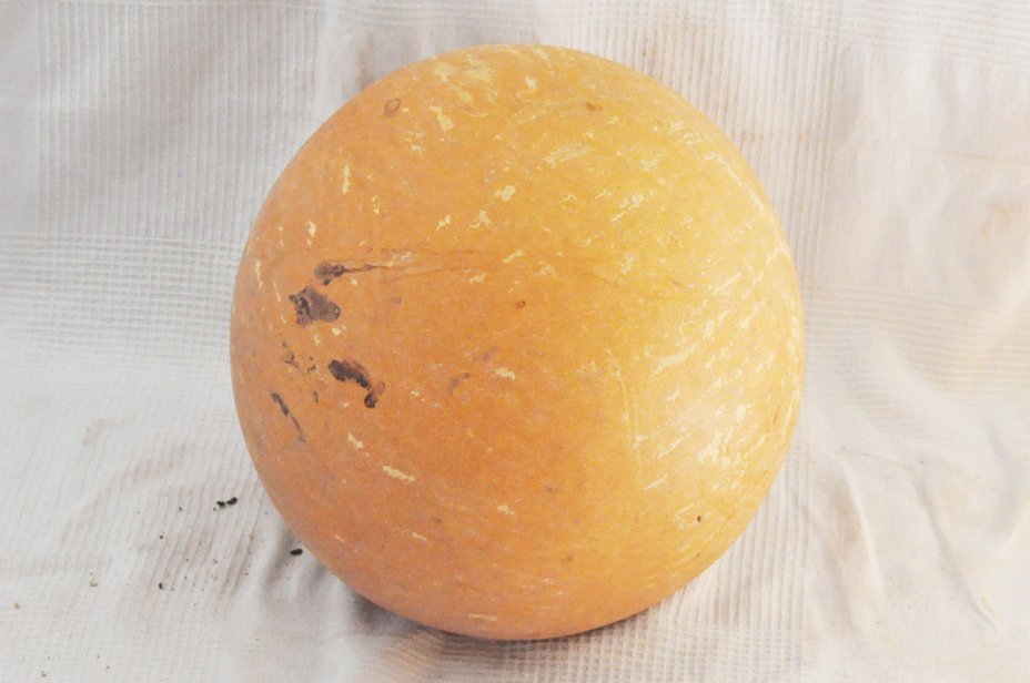 Ø55-56 cm runde Kalebasse - Kugelförmiger Kürbis