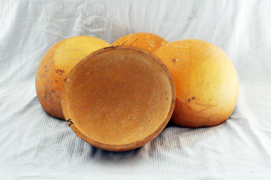 Ø31-32 cm Kalebasse Halbschale - Hemisphärischer Kürbis