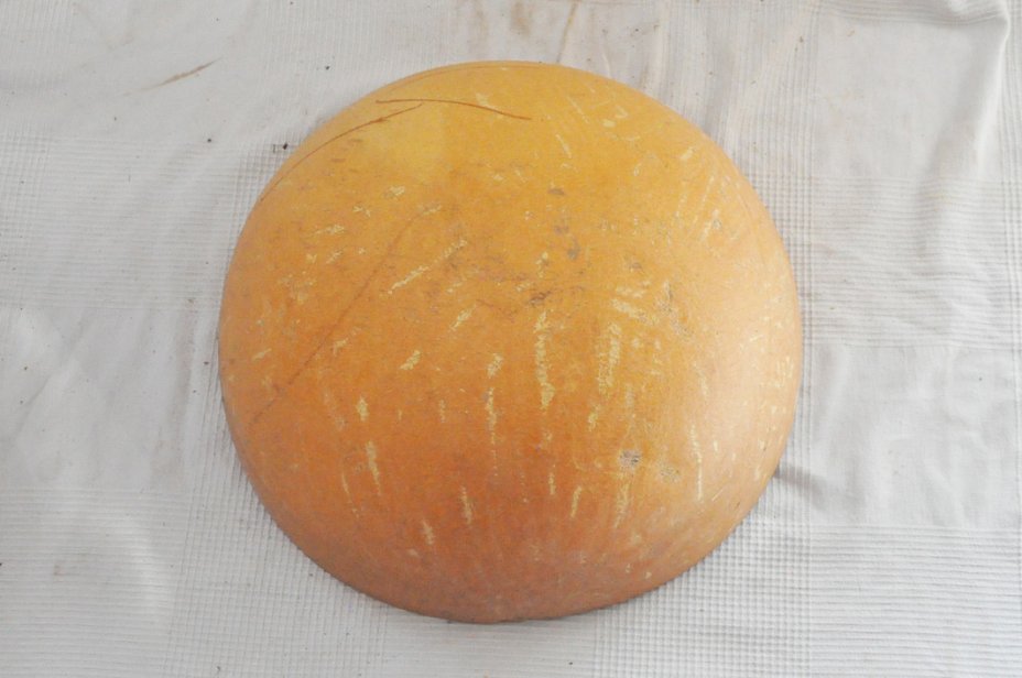 Ø43-44 cm Kalebasse Halbschale - Hemisphärischer Kürbis