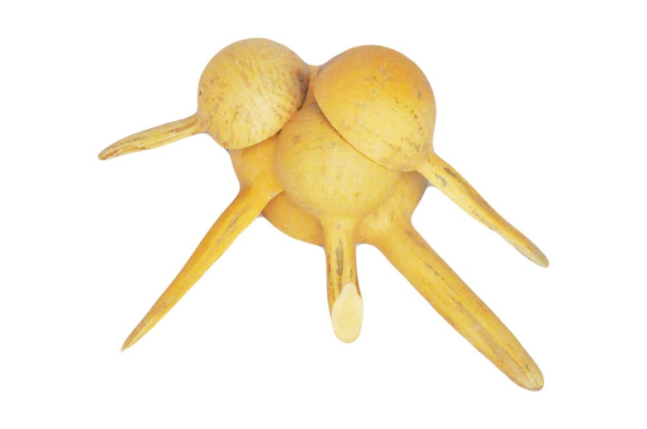 Kalebasse Schöpfkelle Löffel Ø10-15 cm