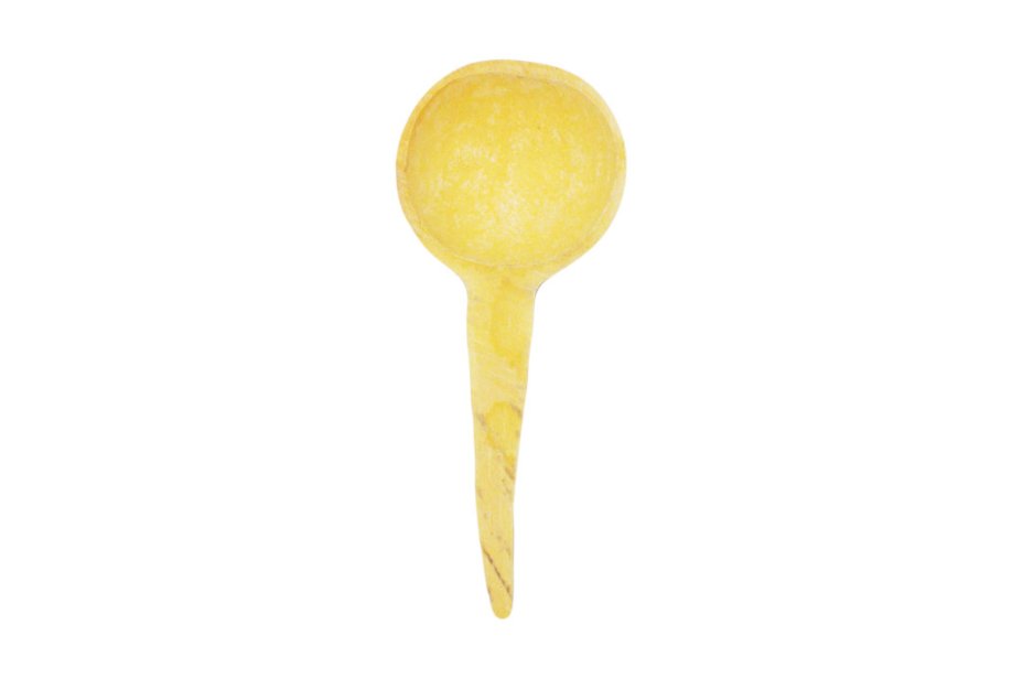 Kalebasse Schöpfkelle Löffel Ø10-15 cm