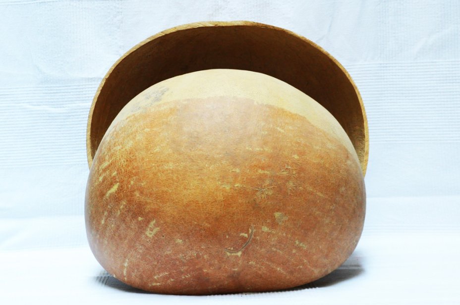 Ø50-54 cm runde Kalebasse - Hemisphärische Kalebasse