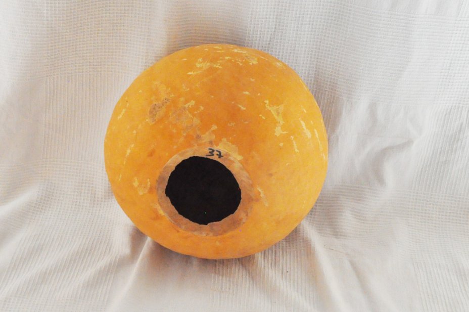 Ø37-38 cm runde Kalebasse - Kugelförmiger Kürbis