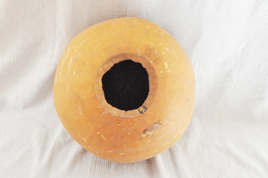 Ø43-44 cm runde Kalebasse - Kugelförmiger Kürbis