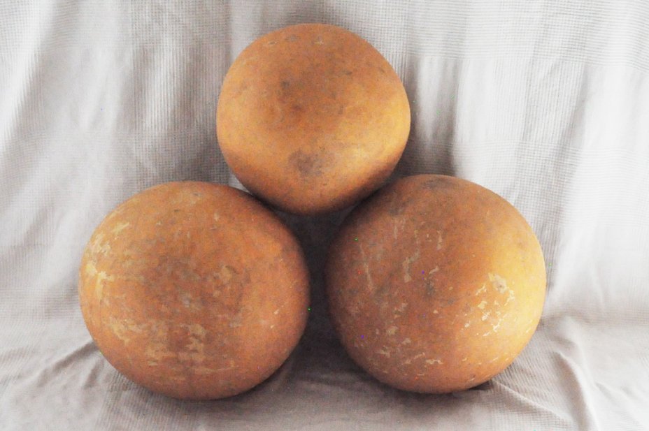 Ø47-48 cm runde Kalebasse - Kugelförmiger Kürbis