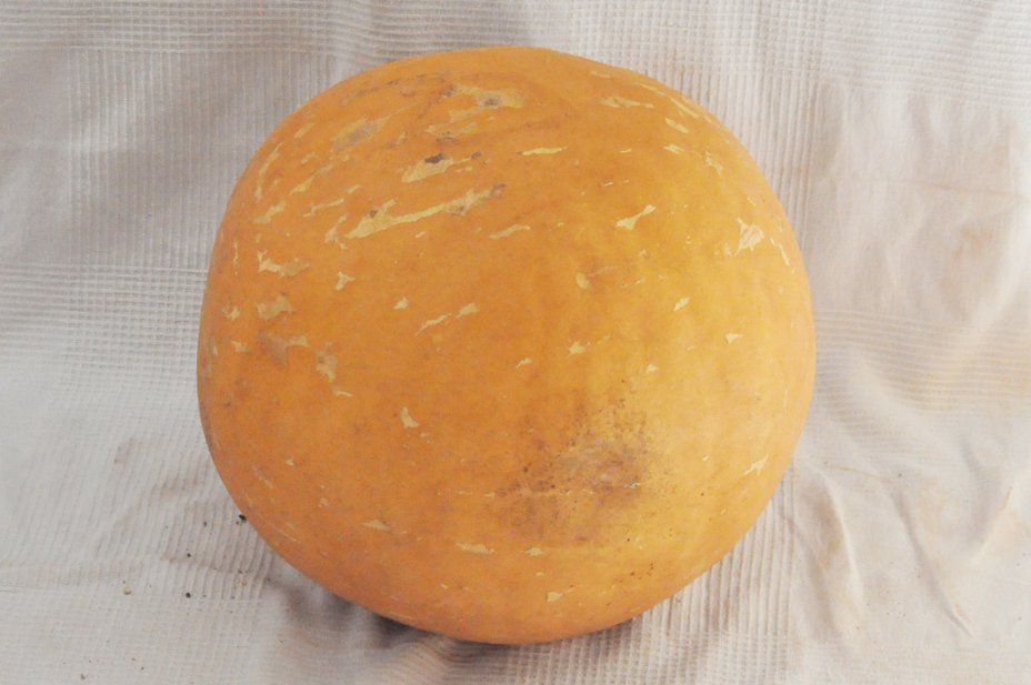 Ø51-52 cm runde Kalebasse - Kugelförmiger Kürbis