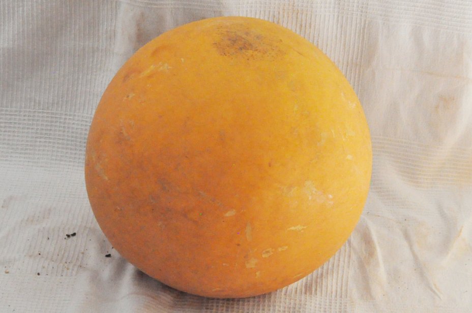 Ø53-54 cm runde Kalebasse - Kugelförmiger Kürbis