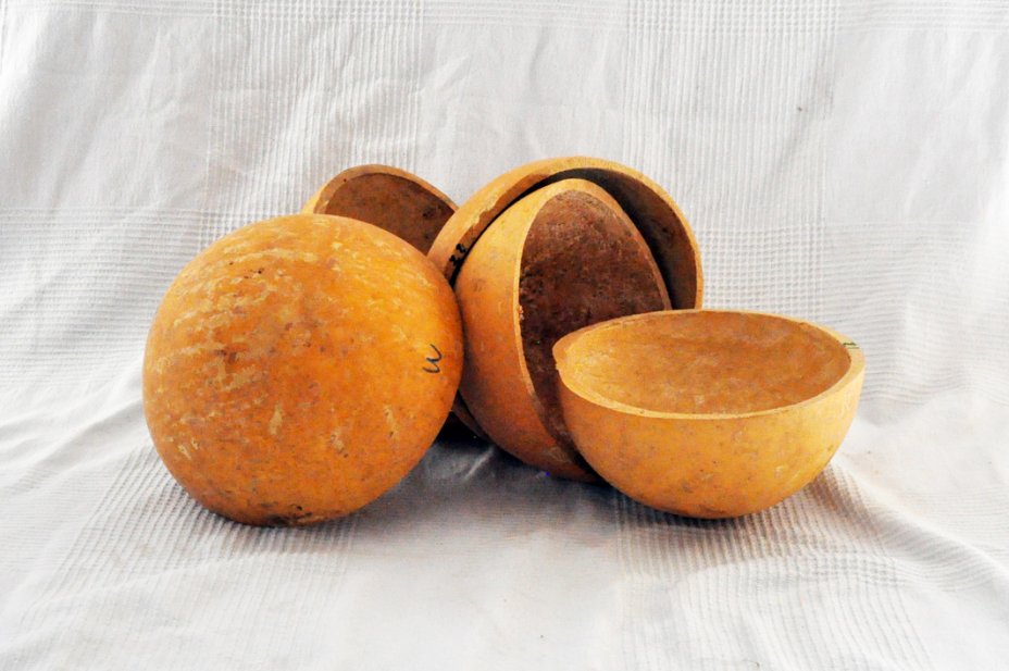 Ø23-24 cm Kalebasse Halbschale - Hemisphärischer Kürbis