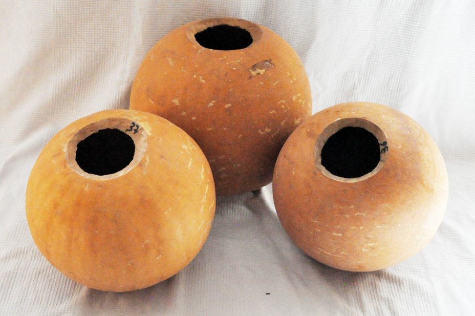 Ø37-38 cm runde Kalebasse - Kugelförmiger Kürbis