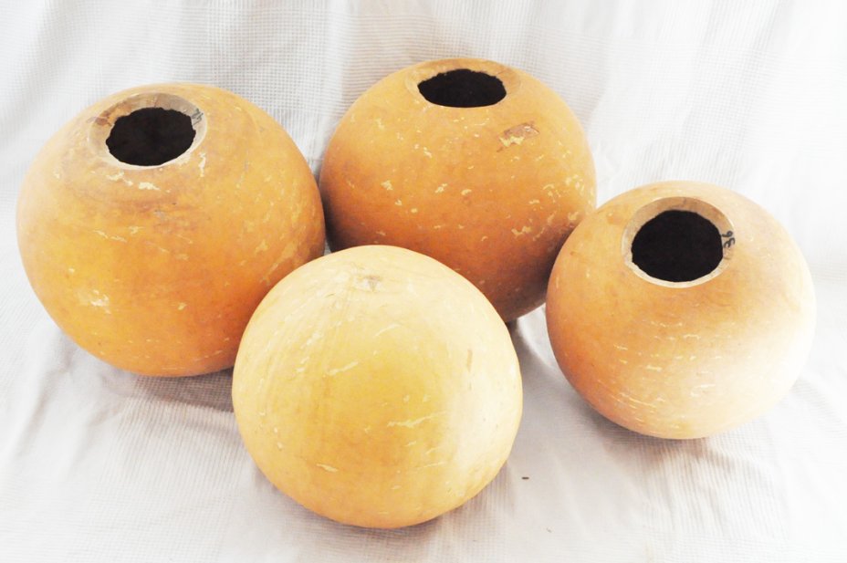 Ø39-40 cm runde Kalebasse - Kugelförmiger Kürbis