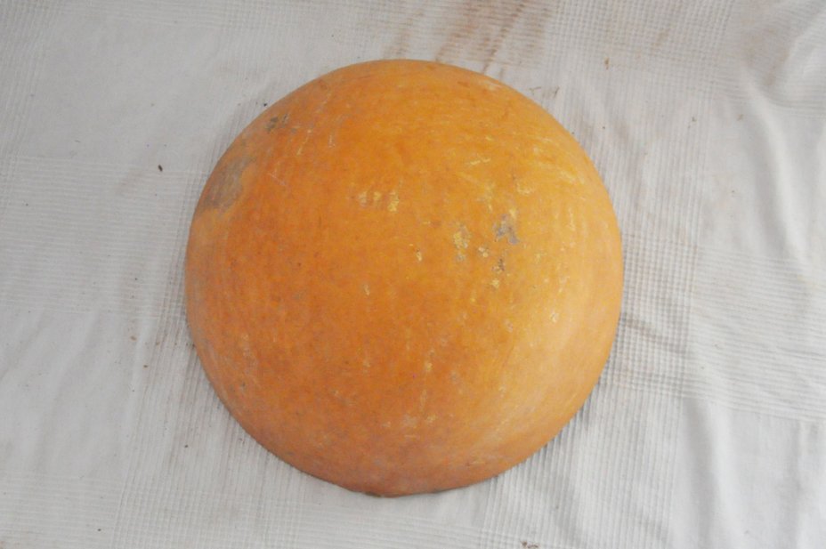 Ø47-48 cm Kalebasse Halbschale - Hemisphärischer Kürbis