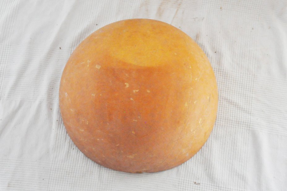 Ø51-52 cm Kalebasse Halbschale - Hemisphärischer Kürbis