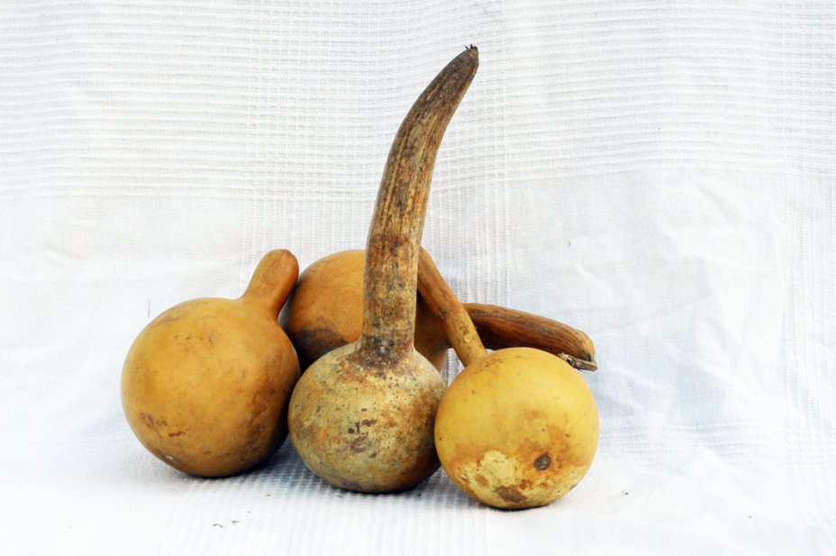 Ø11-12 cm Flasche Kalebasse - Kürbisflasche