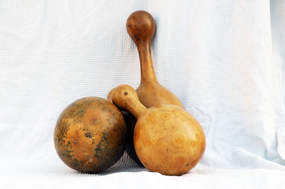 Ø19-20 cm Flasche Kalebasse - Kürbisflasche